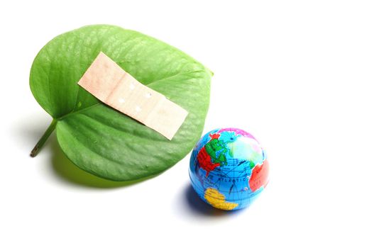green leaf isolated on white showing broken nature ecology concept with band aid