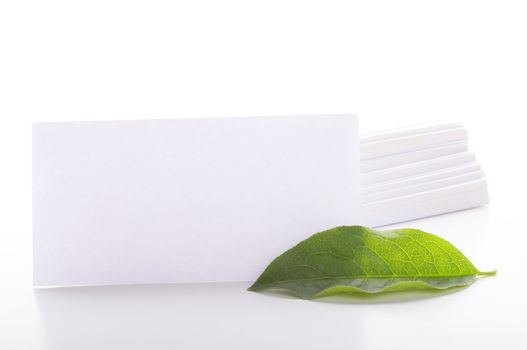 empty sheet of paper and green leaf for note