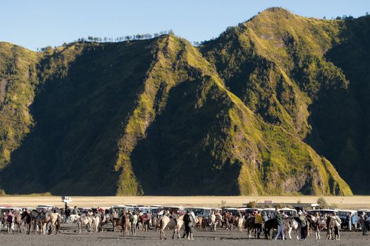 Horseback riders riding for a mountain trip