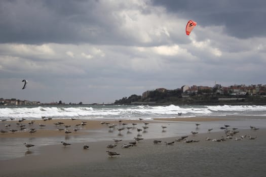 Cloudy ,beach,house,see,planer