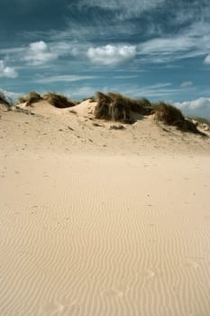 Photo of Sunny beach,Bulgaria