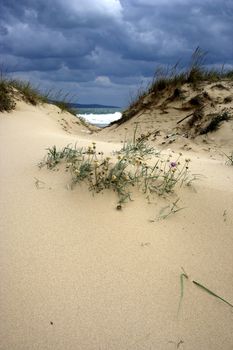 Photo of Sunny beach,Bulgaria