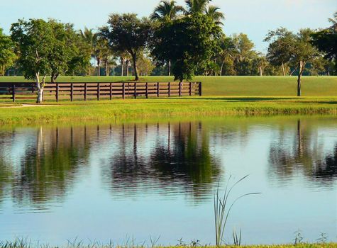 Pasture with fence and still pond