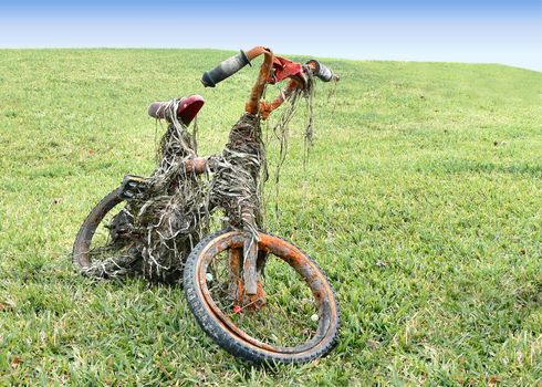 rusted and ruined children's bicycle on grassy lawn