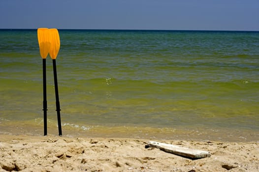 Photo of paddle in sunny day