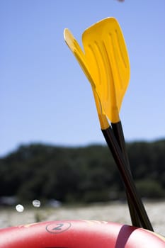 Photo of paddle in sunny day