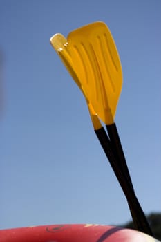 Photo of paddle in sunny day