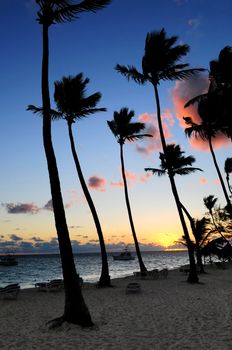 Palm trees silhouettes at sunrise at tropical resort