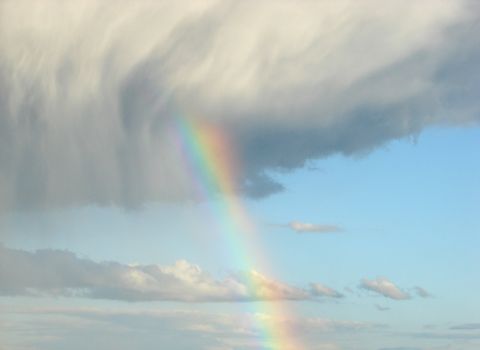 Rainbow in the sky after the rain