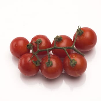  Cherry tomatos twig over white