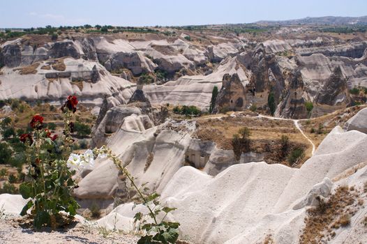 Dwellings Carved into Rock at Uchisar