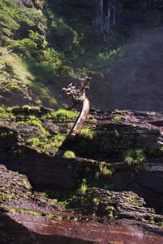 Wilderness area in the rocky mountains