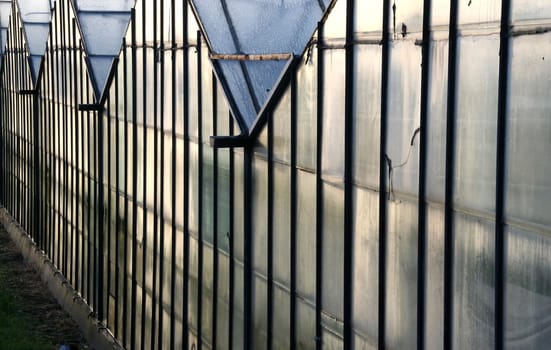 Abstract of glasshouses in the early morning