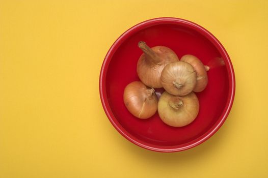 onion in the red bowl over yellow