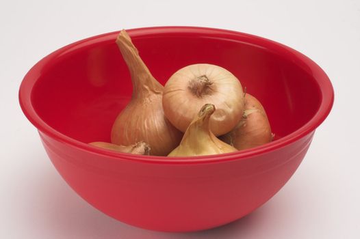 onion in the red bowl over white