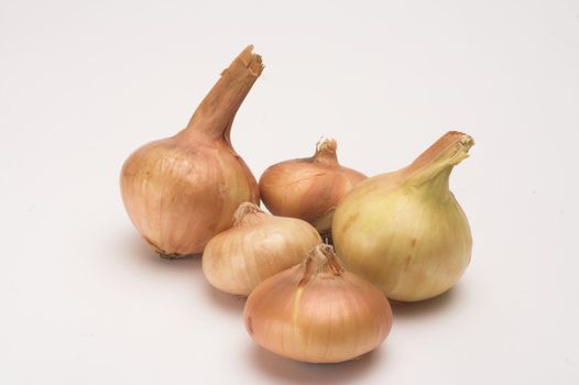 Picture of onion  over white