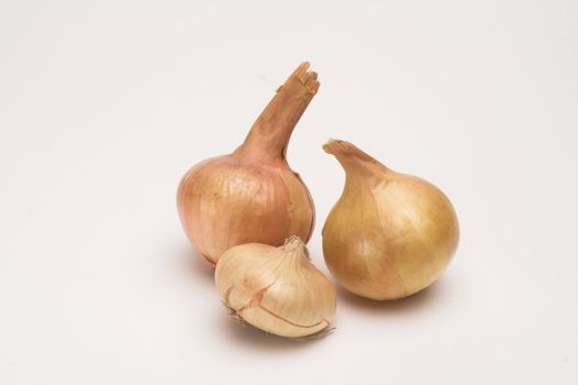 Picture of onion  over white