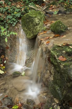 Autumn forest stream and leaves