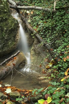 Autumn forest stream and leaves