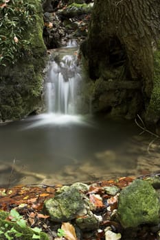 Autumn forest stream and leaves