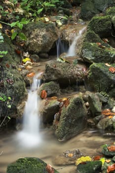 Autumn forest stream and leaves