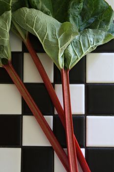 Fresh garden rhubarb on a black and white tile counter.
