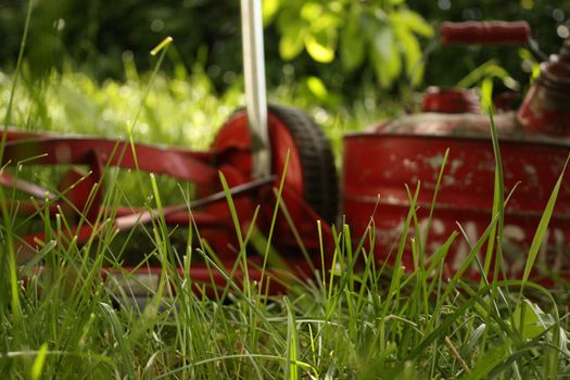 An environmentally friendly red push mower beside an old-fashioned red can of gasoline, both sitting in a lawn that needs cutting or mowing.   Shallow DOF with the focus on the grass and the mower and gas can blurry.