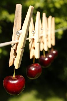 A concept shot relating to organic and healthy eating, and chemical and pesticide use.  Five red cherries hung on a clothesline with wooden pegs.