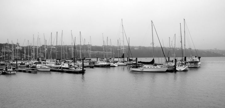 a fleet of boats moored up