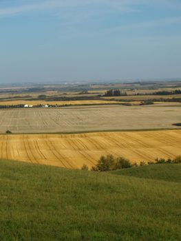 Fields on the Canadian prairie