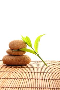 spa still life with zen stone and green leaf