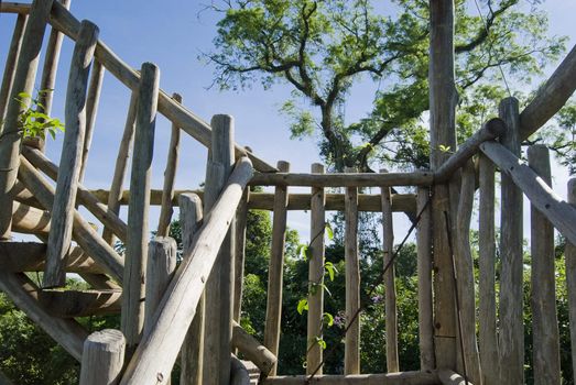 Wooden stairs of birdwatching tower on brazilian atlantic rainforest.