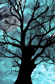silhouette of an ancient tree on a bright cold moonlit night