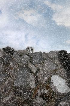trees behind an old irish stone wall in a winters snow storm