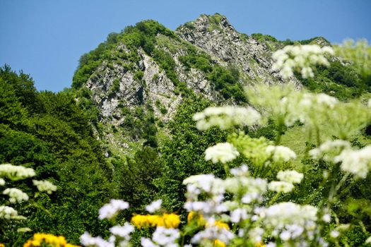 peak of Achishkho mountain at Krasnaya polyana,Russia