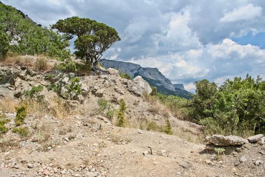 Crimea. View of mountains in the summer.