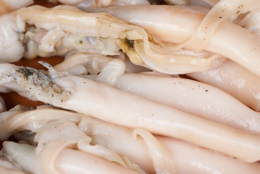 Macro take of fresh raw razor clams