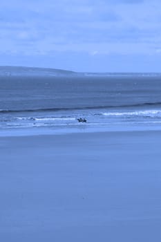 horses having a dip in the sea in ballybunion with view of beach