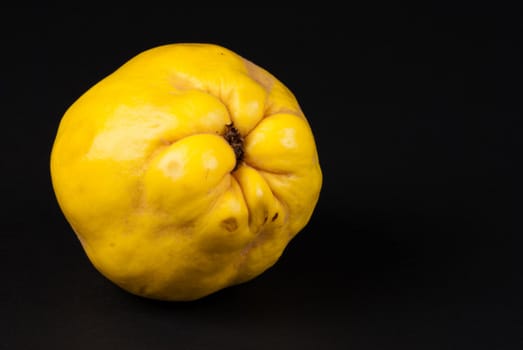 Fresh quince fruit isolated on black background