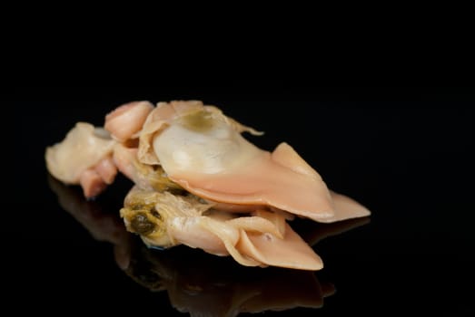 Fresh raw red clam isolated on black