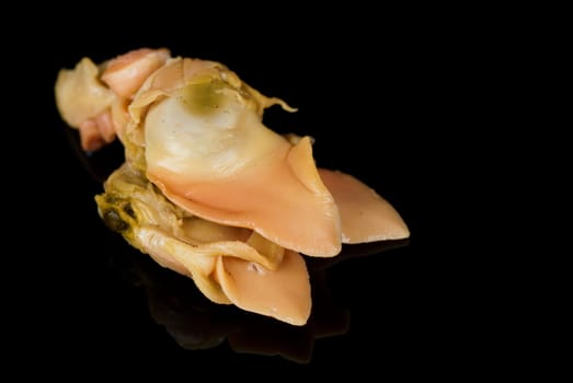 Fresh raw red clam isolated on black