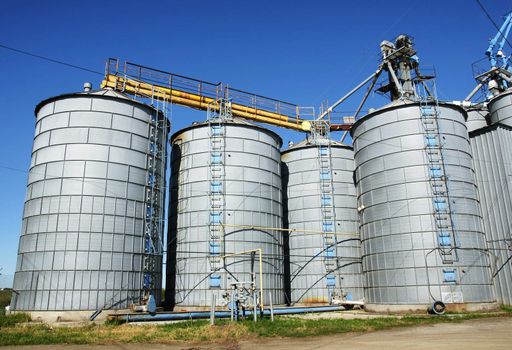 Agriculture: Group of silos filled with cereal grain against blue sky.
