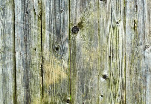 Old weathered wooden fence - the background