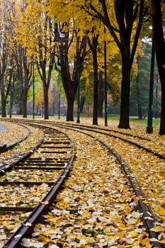 Railway covered by autumn foliage, Torino, Italy