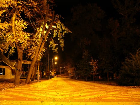 Autumn; park; square; a roadway; a tile; night; lanterns; leaves; illumination