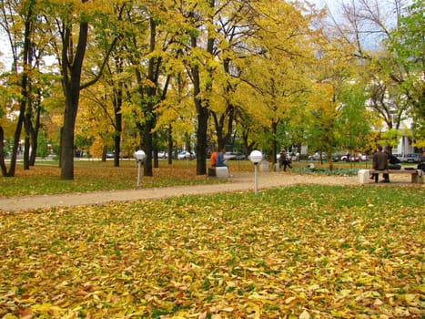 Autumn; park; square; a roadway; a tile; day, leaves; trees; Russia