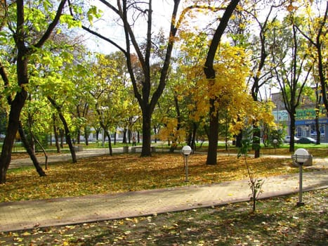 Autumn; park; square; a roadway; a tile; day, leaves; trees; Russia; caucasus