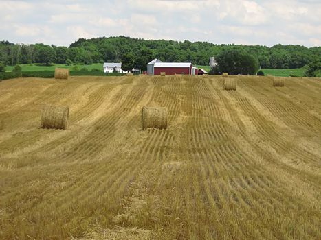 A photograph of farmland in the United States.