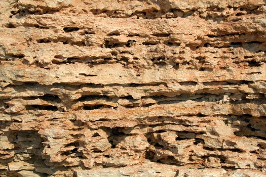 The limestone texture