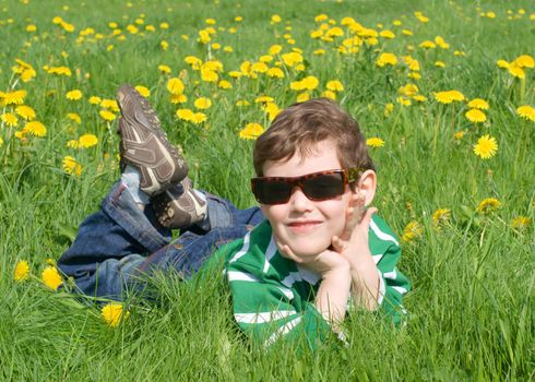 The boy is on the grass with dandelions